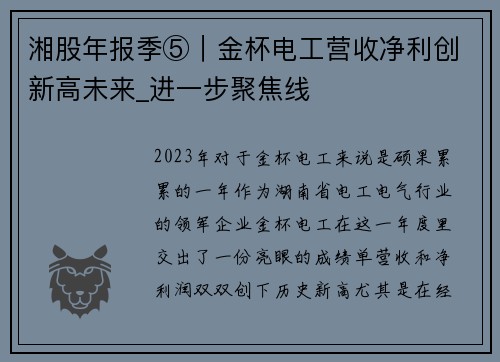 湘股年报季⑤｜金杯电工营收净利创新高未来_进一步聚焦线