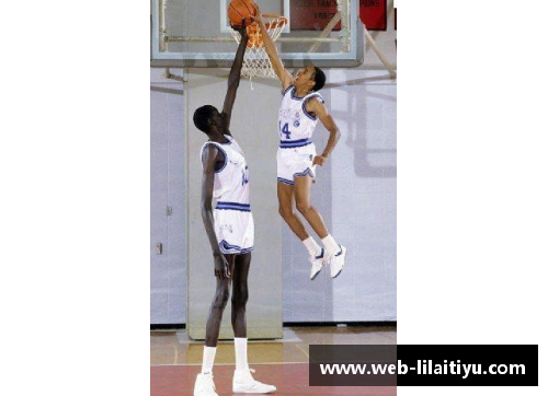 利来体育NBA板鞋：风靡球场的时尚与性能兼具选择