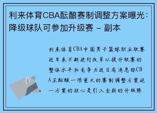 利来体育CBA酝酿赛制调整方案曝光：降级球队可参加升级赛 - 副本