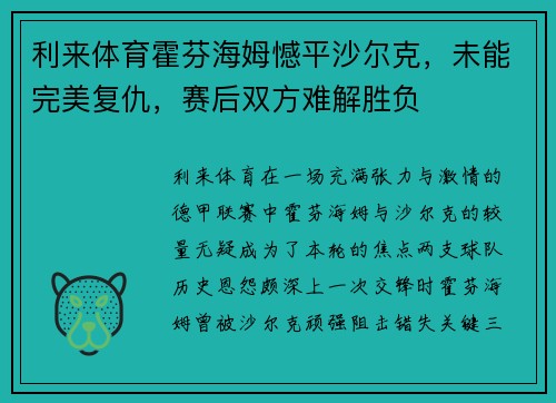 利来体育霍芬海姆憾平沙尔克，未能完美复仇，赛后双方难解胜负